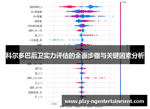 科尔多巴后卫实力评估的全面步骤与关键因素分析